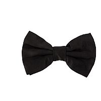 Παπιγιόν | 3 Χρώματα